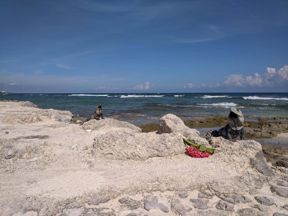 Bahia Principe & Golf Residences Tulum Dış mekan fotoğraf